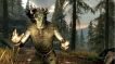 BUY The Elder Scrolls V: Skyrim - Dawnguard Steam CD KEY