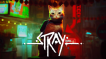 BUY Stray Steam CD KEY