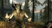 BUY The Elder Scrolls V: Skyrim Steam CD KEY