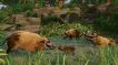 BUY Planet Zoo: Tropical Pack Steam CD KEY