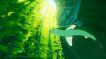 BUY ABZU Steam CD KEY