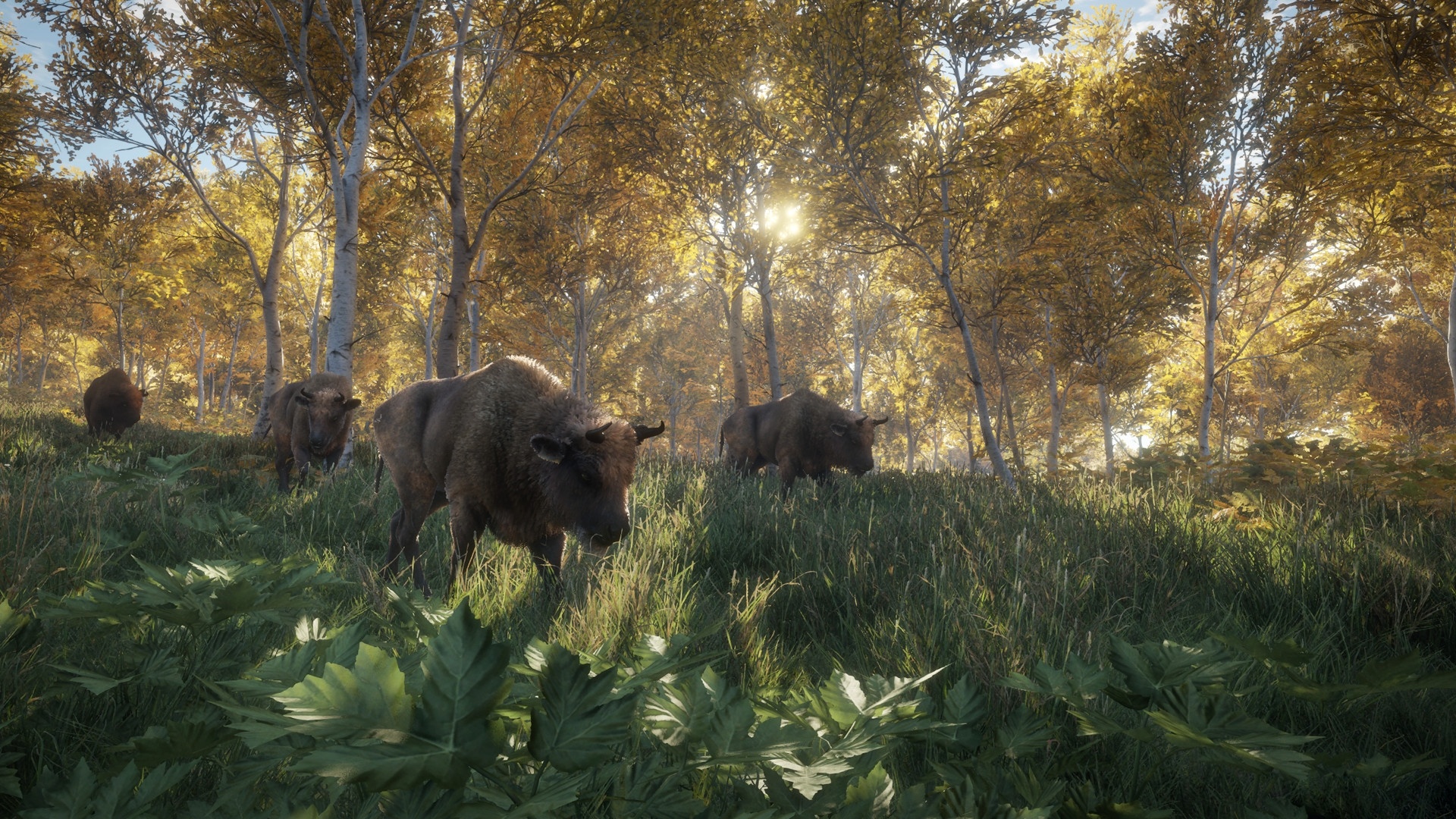 theHunter Call of the Wild Steam CD key → Køb billigt HER!