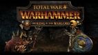Total War: Warhammer - The King and the Warlord